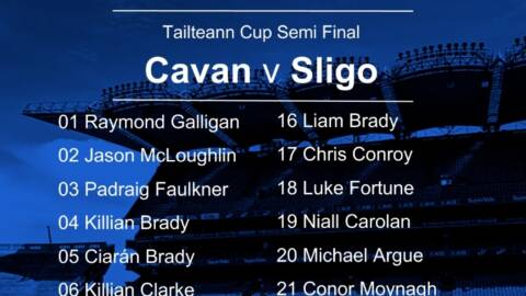 Tailteann Cup Semi Final Cavan Panel