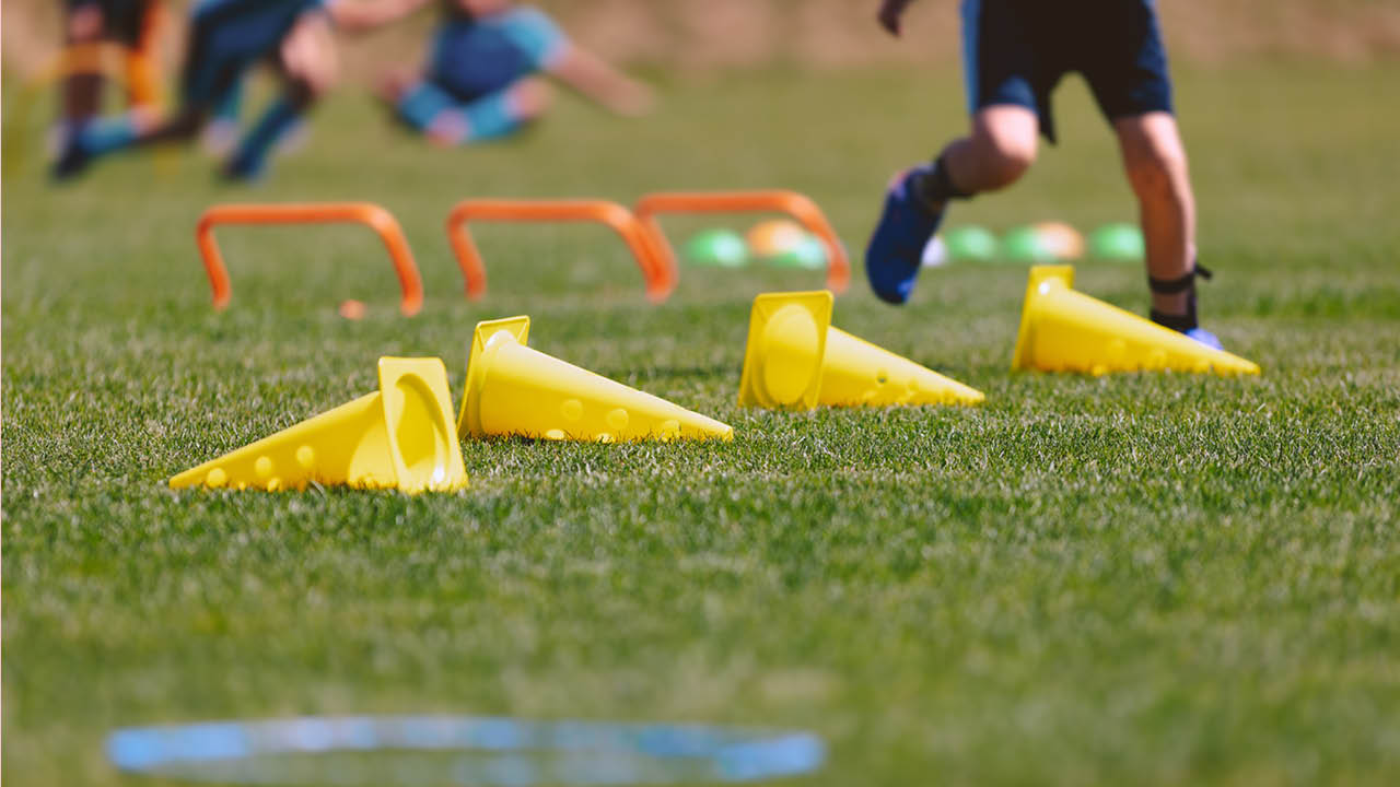 Vetting – featured image