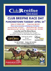 Limited places remaining for Club Breifne Raceday